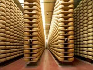 industrial storage for cheese ripening